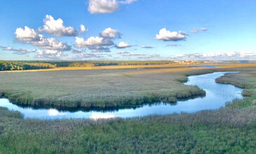 Trakya-Edirne-İğneada Turu