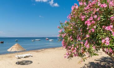 Erdek Avşa Adası Turu